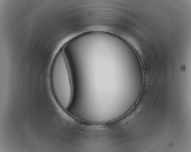 X0000094461133200711081053