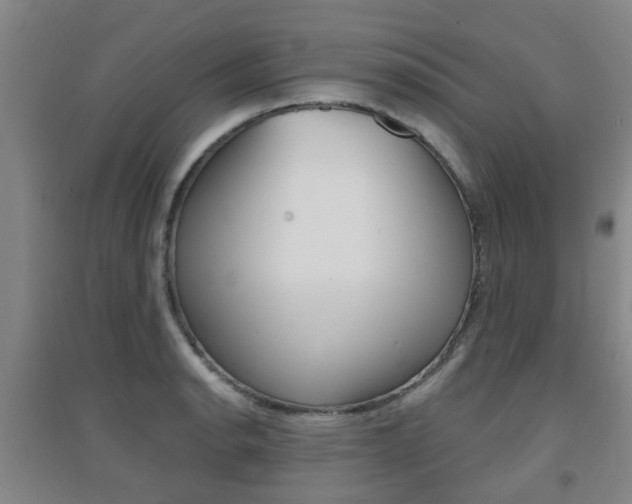 X0000094461134200711081053