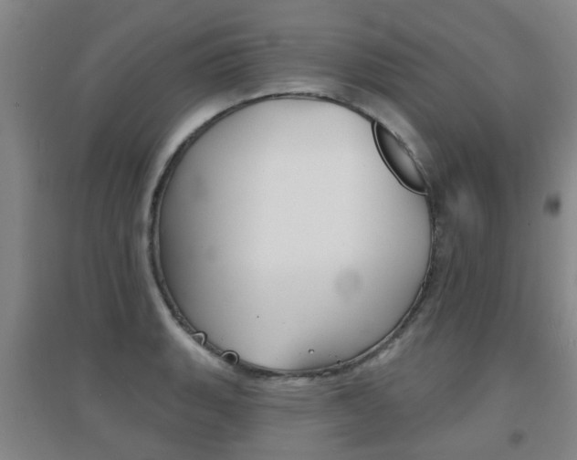X0000094461135200711081053