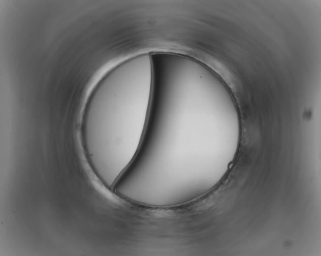 X0000094461136200711081053