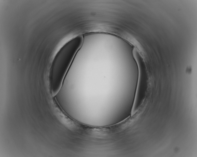 X0000094461138200711081053