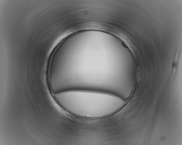 X0000094461139200711081053