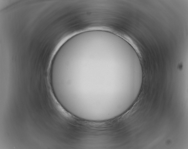 X0000094461140200711081053