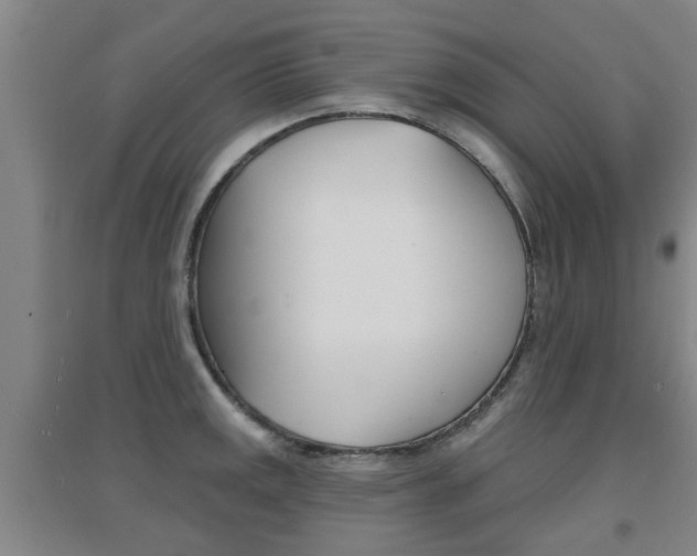 X0000094461141200711081053