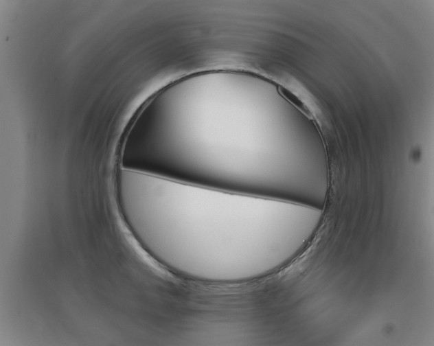 X0000094461142200711081053