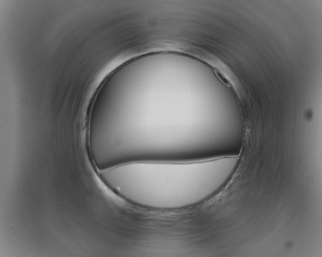 X0000094461143200711081053
