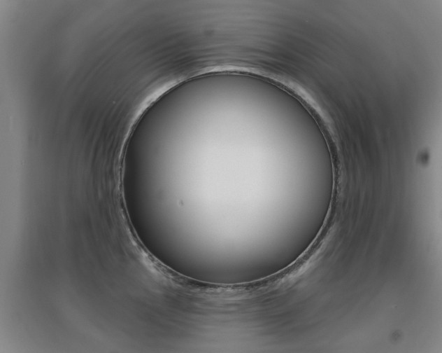X0000094461145200711081053