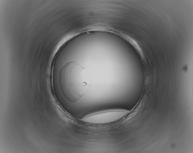 X0000094461146200711081053
