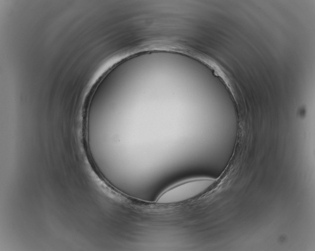 X0000094461147200711081053