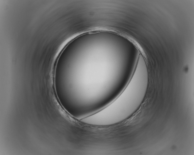 X0000094461148200711081053