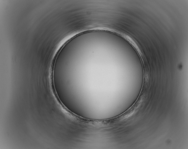 X0000094461149200711081053