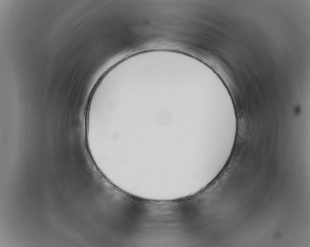 X0000094461150200711081053