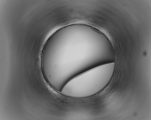 X0000094461151200711081053