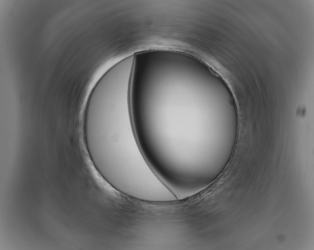 X0000094461152200711081053