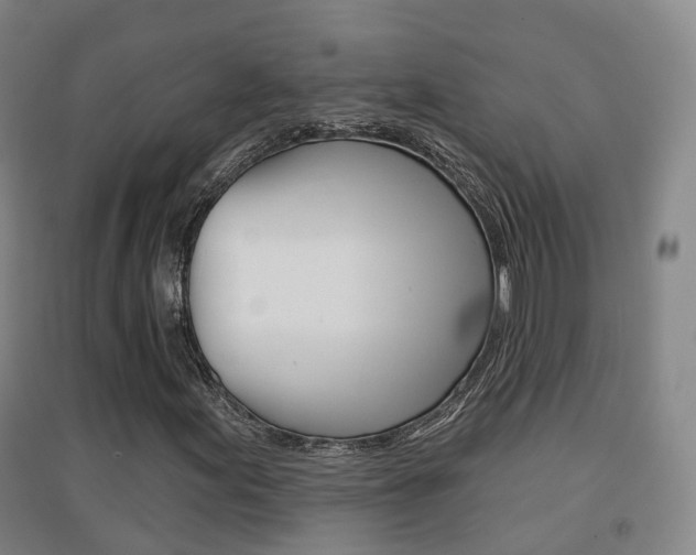 X0000094461155200711081052