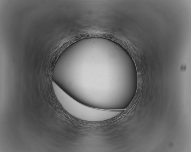 X0000094461157200711081052