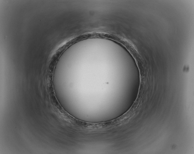 X0000094461159200711081052