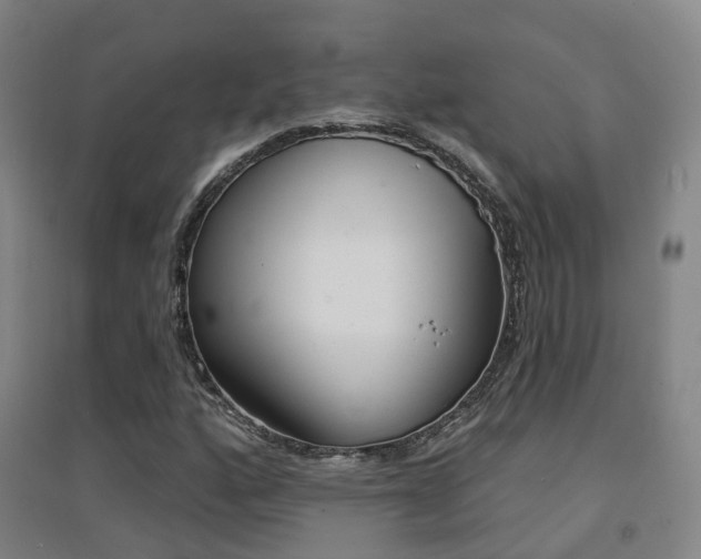 X0000094461160200711081052