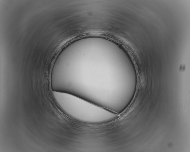 X0000094461161200711081052