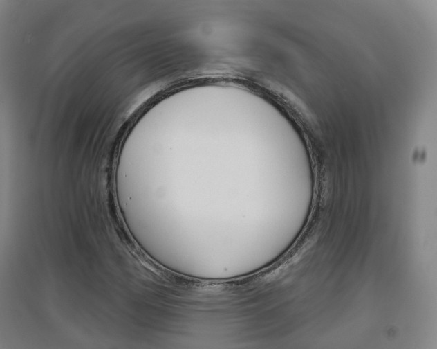 X0000094461162200711081052