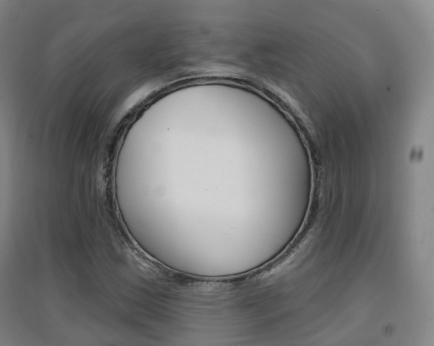 X0000094461163200711081052