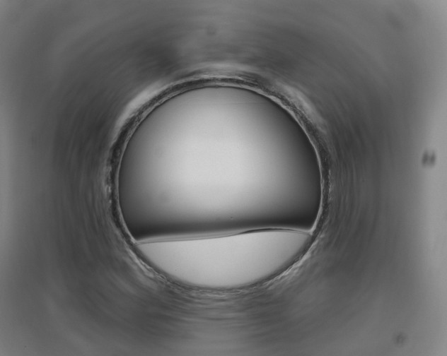X0000094461164200711081052