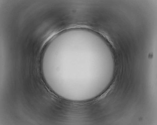 X0000094461165200711081052