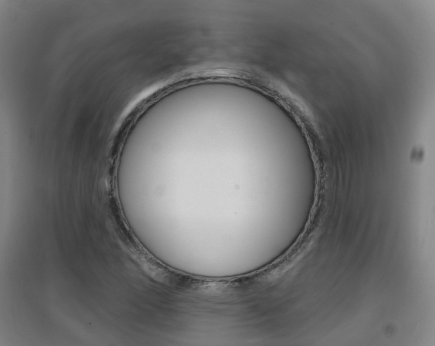 X0000094461166200711081052