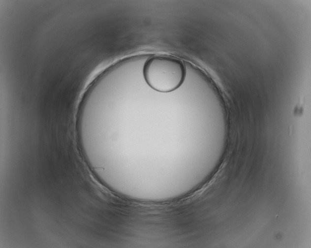 X0000094461168200711081052