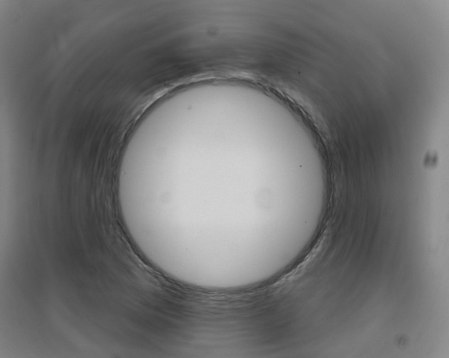 X0000094461169200711081052