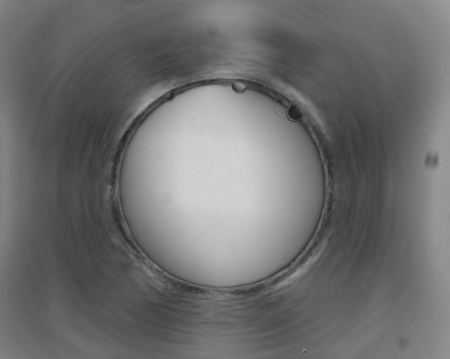 X0000094461170200711081052