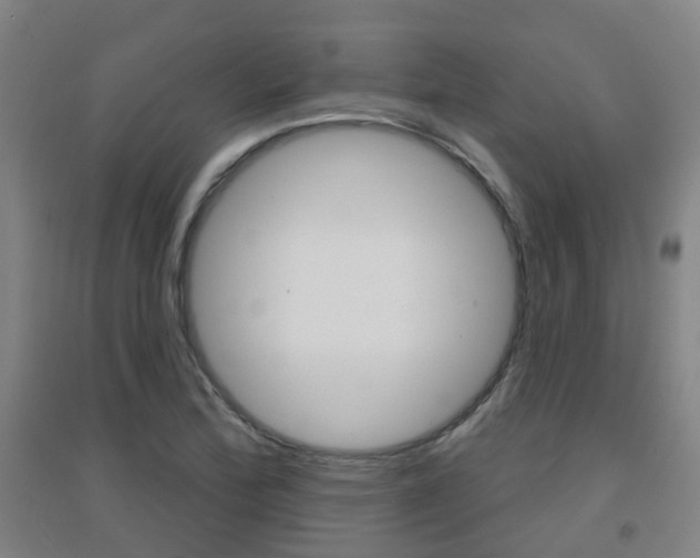 X0000094461172200711081052
