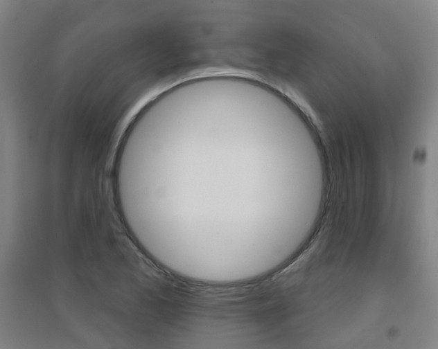 X0000094461173200711081052