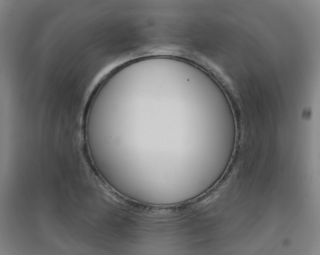 X0000094461174200711081052