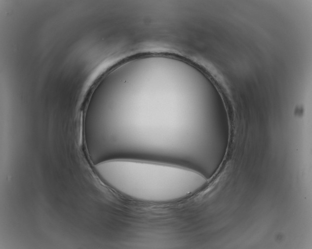 X0000094461175200711081052