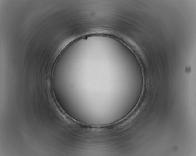 X0000094461177200711081052