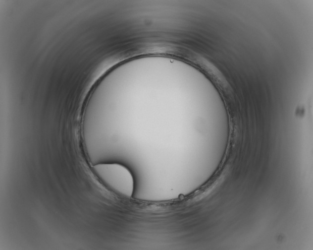 X0000094461178200711081052