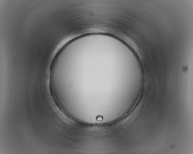 X0000094461179200711081052