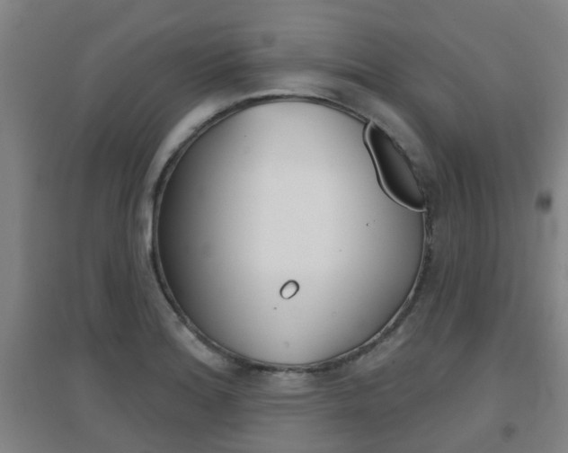 X0000094461180200711081052
