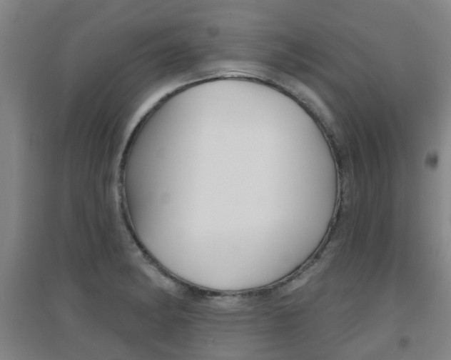 X0000094461182200711081052