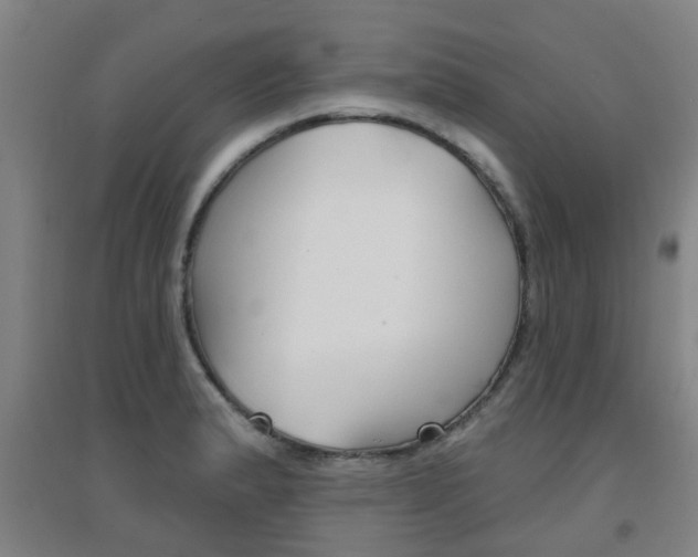 X0000094461183200711081052