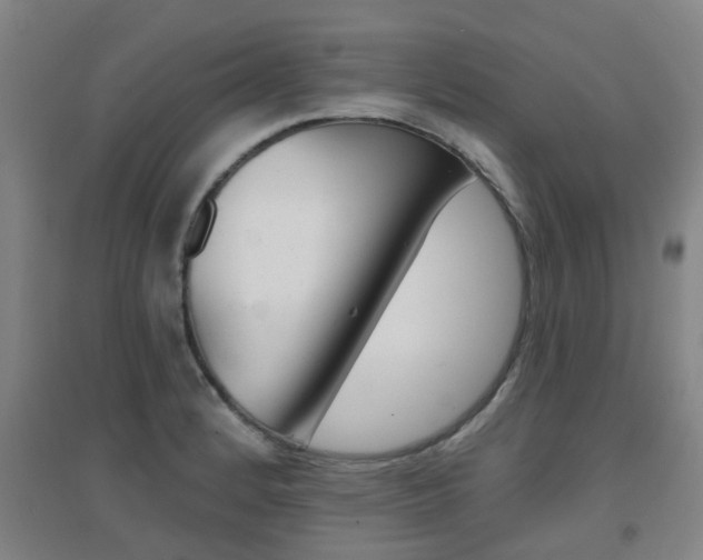 X0000094461184200711081052