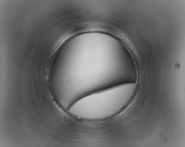 X0000094461185200711081052
