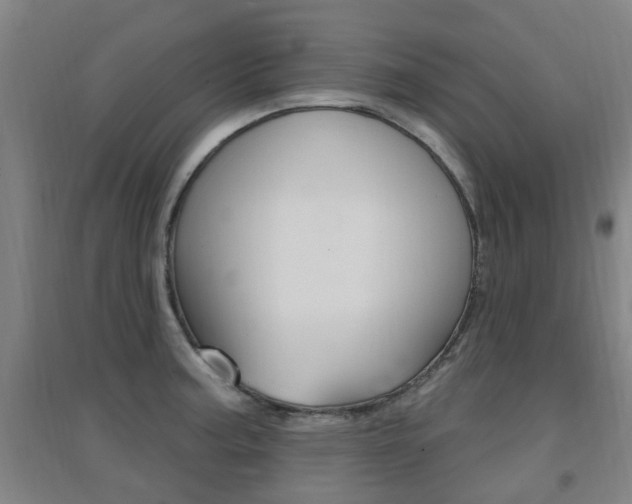 X0000094461187200711081052