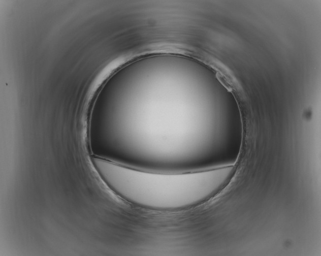 X0000094461188200711081052