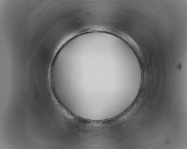 X0000094461190200711081051