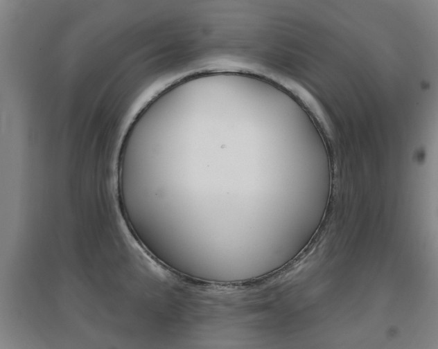 X0000094461191200711081051