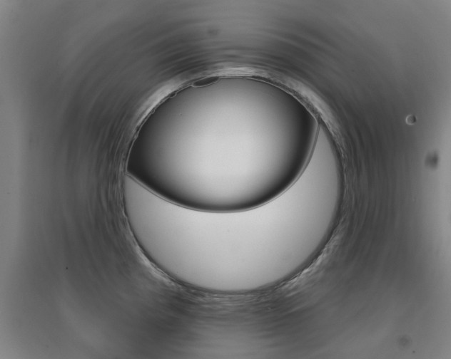 X0000094461193200711081051