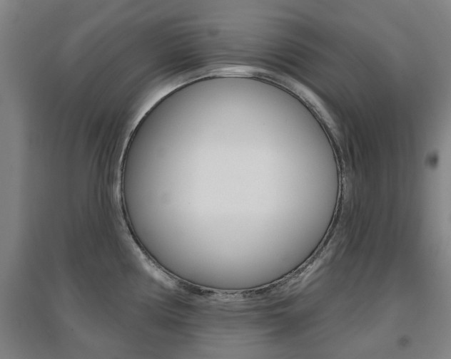 X0000094461194200711081051
