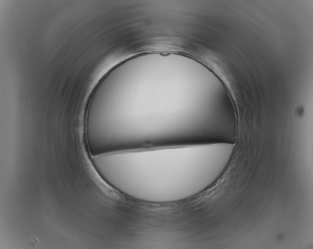 X0000094461195200711081051
